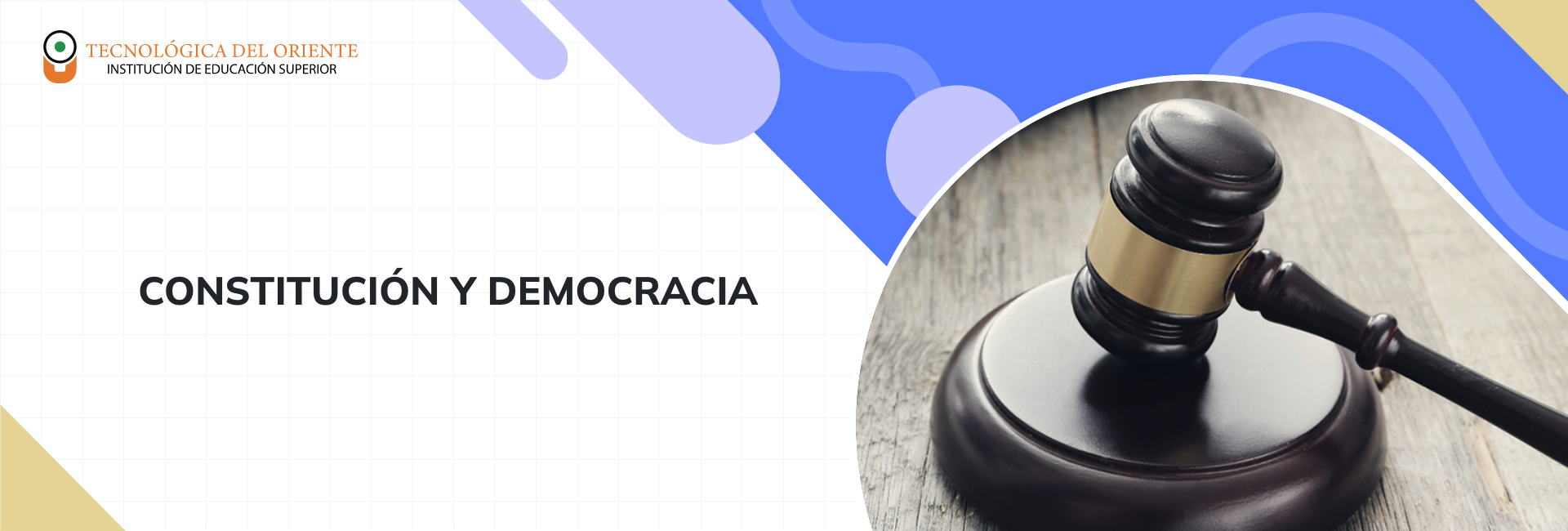 Constitución y Democracia