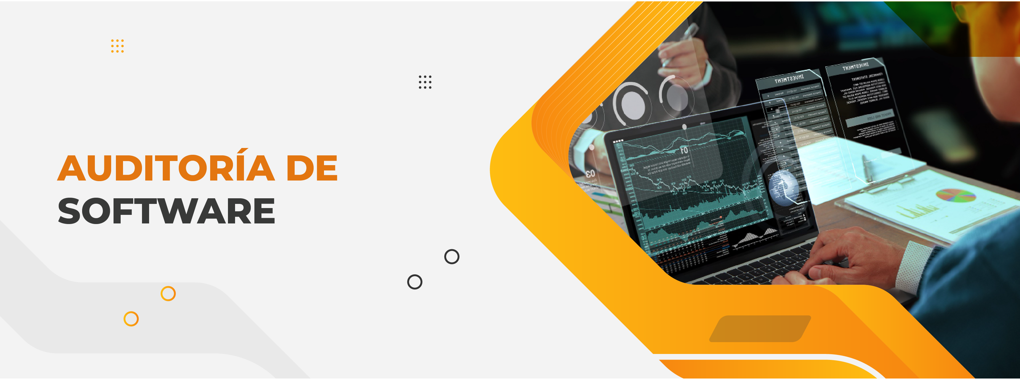 Auditoría de software 