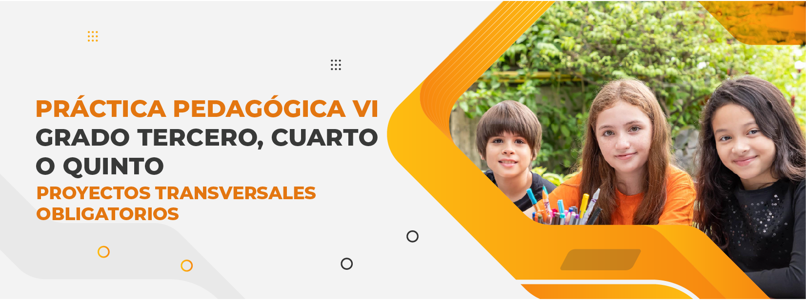 Práctica Pedagógica VI - Grado tercero, cuarto o quinto - Proyectos transversales obligatorios.