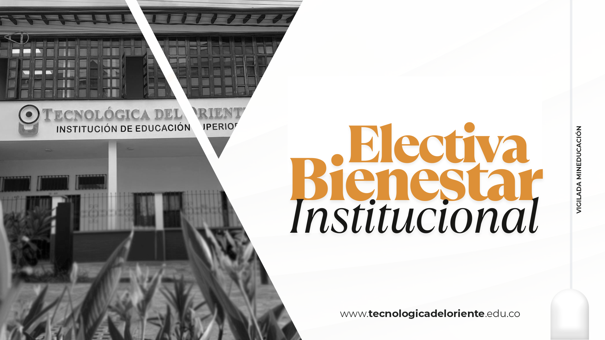 Estrategias para el Manejo del Estrés Académico - 20261 N2