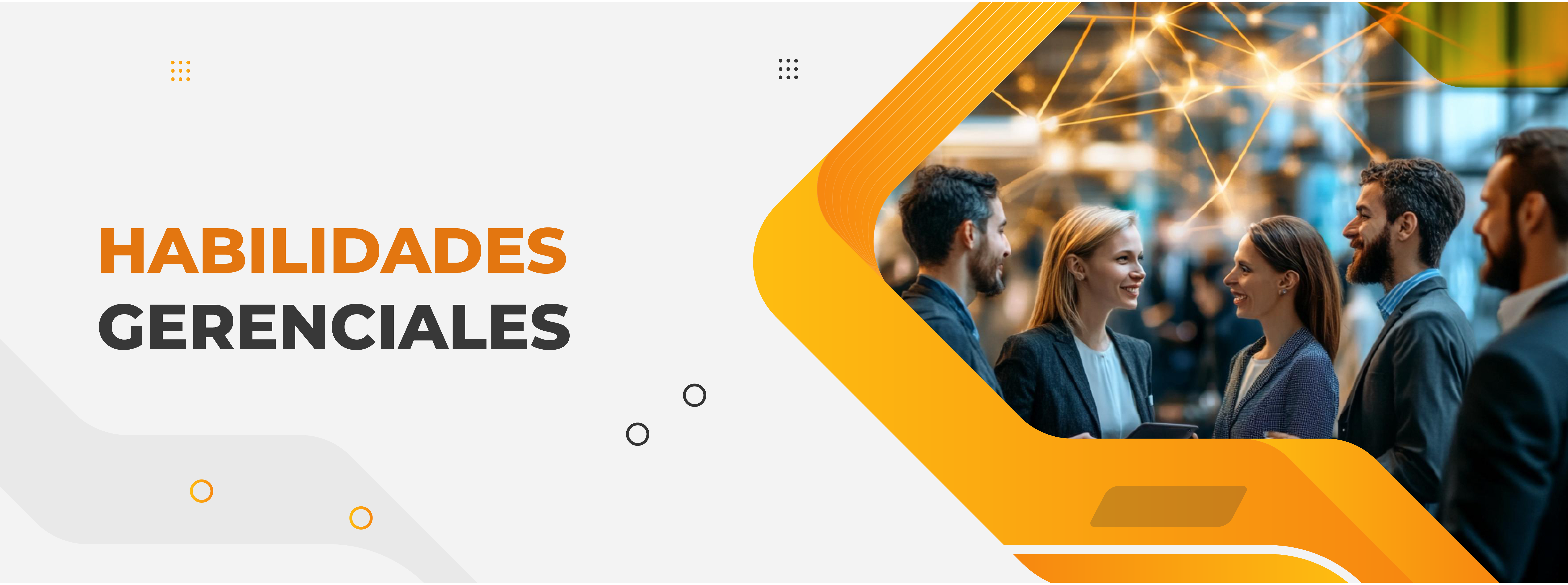 Habilidades Gerenciales