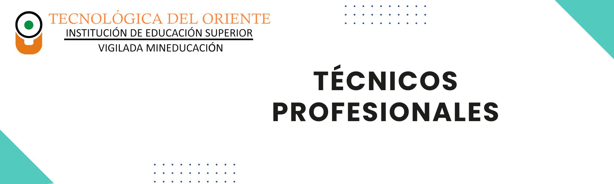 TÉCNICOS PROFESIONALES